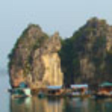 King Fish The Restaurant